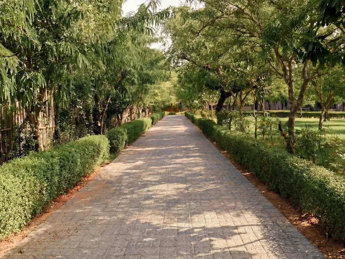A tree-lined garden pathway