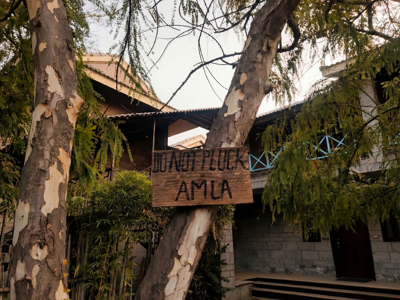 Pathway to Reception